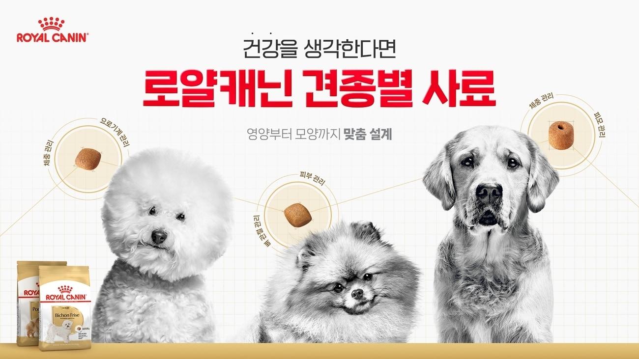 본문 이미지 - 로얄캐닌 제공