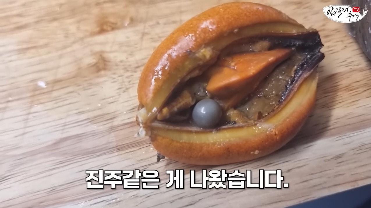 본문 이미지 - (유튜브 '입질의 추억' 갈무리)