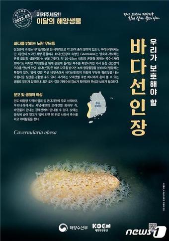 본문 이미지 - (해양수산부 제공)