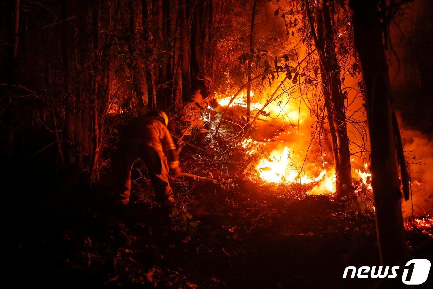 본문 이미지 - 지난 4일 칠레 아라우까니아 푸렌에서 소방관들이 산불을 진화하고 있다. ⓒ AFP=뉴스1