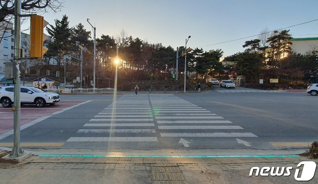 본문 이미지 - 충북 청주시가 설치를 추진 중인 횡단보도 LED조명등.(청주시 제공).2023.2.9/뉴스1