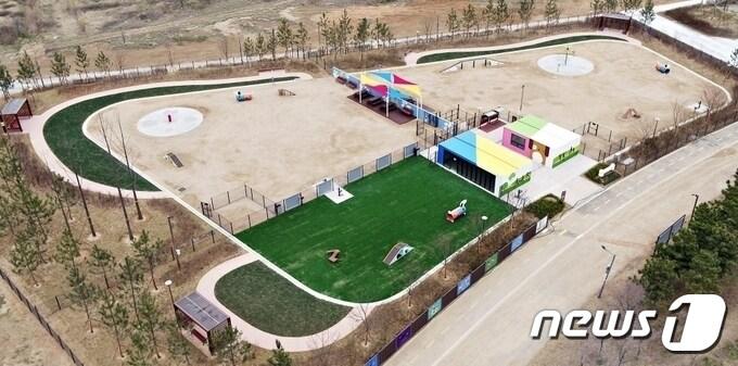 본문 이미지 - 인천 송도 도그파크 전경.(인천경제청 제공) 