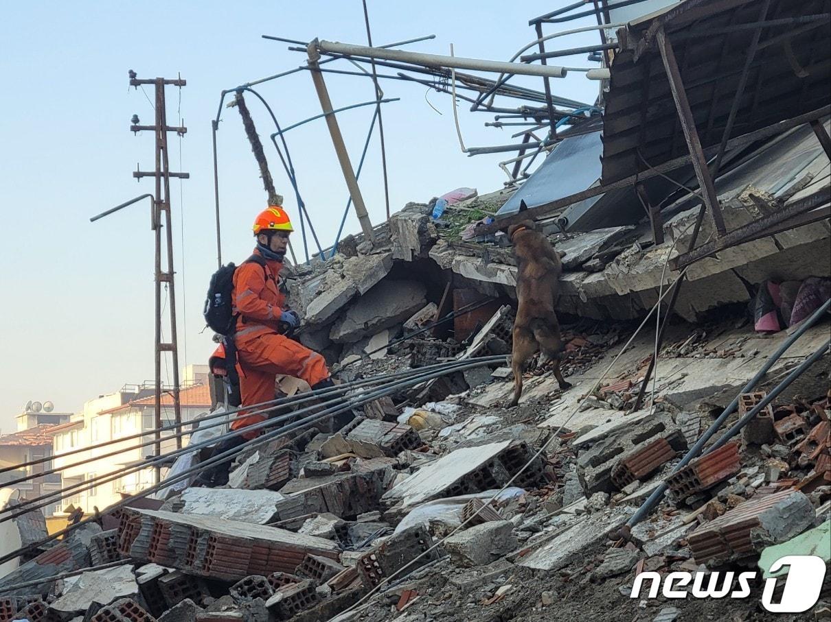 본문 이미지 - 강진이 발생한 튀르키예로 파견된 '대한민국 긴급구호대'(KDRT) 핸들러와 119구조견이 9일 하타이 안타키아 고등학교 등지에서 탐색구조 활동을 하는 모습. (소방청 제공) 