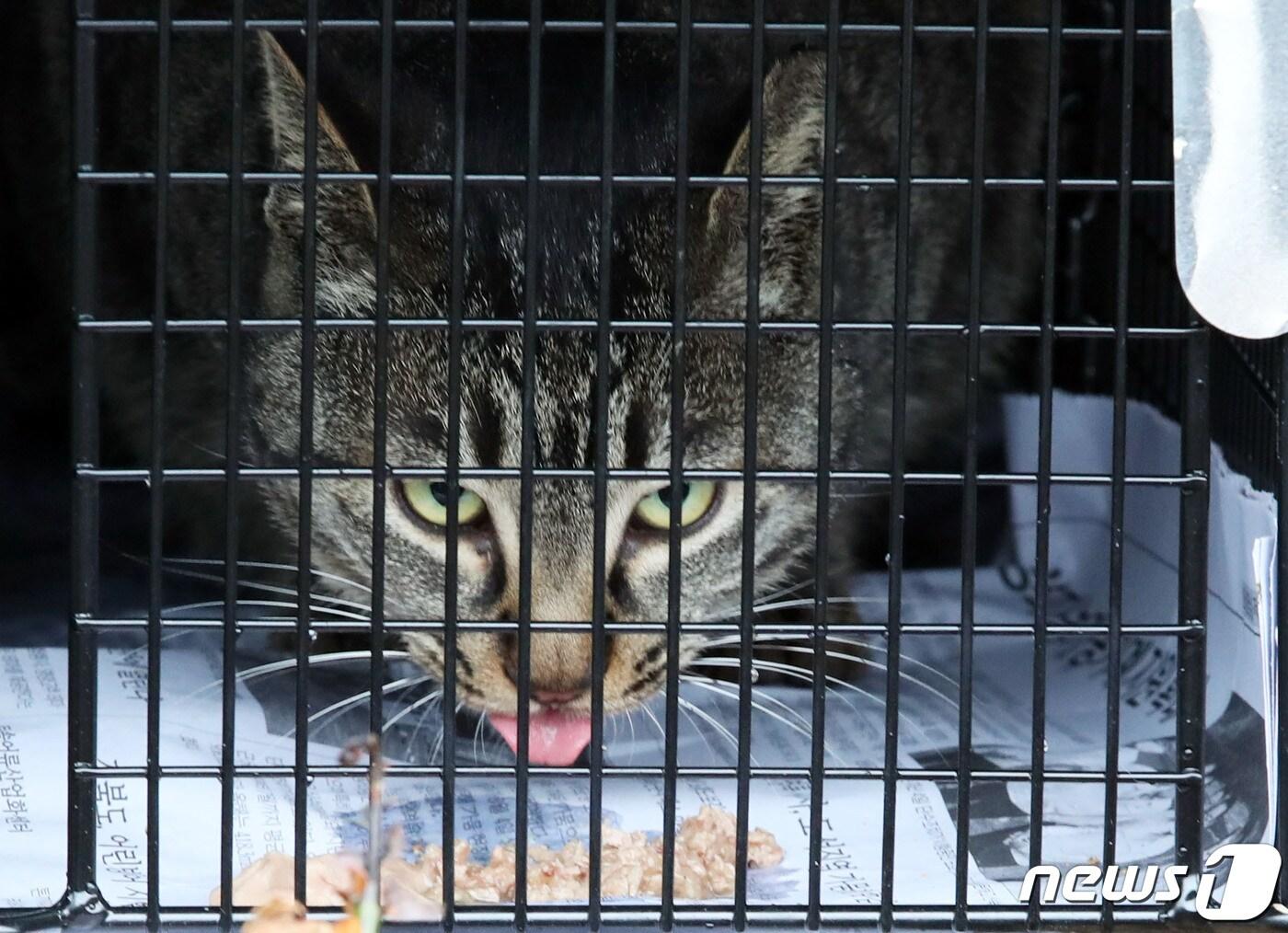 본문 이미지 - <자료 사진> 2023.3.1/뉴스1 ⓒ News1 오현지 기자