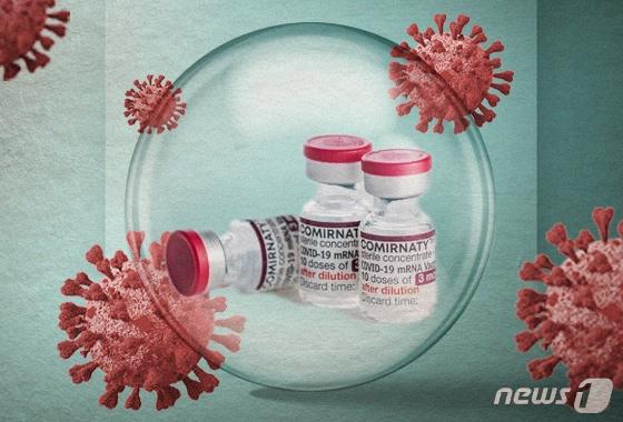 본문 이미지 - ⓒ News1 양혜림 디자이너