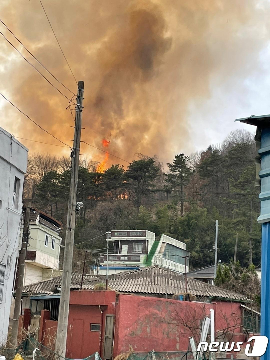 본문 이미지 - 11일 오후 3시55분쯤 광주 북구 동림동 운암산에서 화재가 발생해 소방 당국이 진화에 나섰다.(광주 북구 제공)2023.3.11/뉴스1