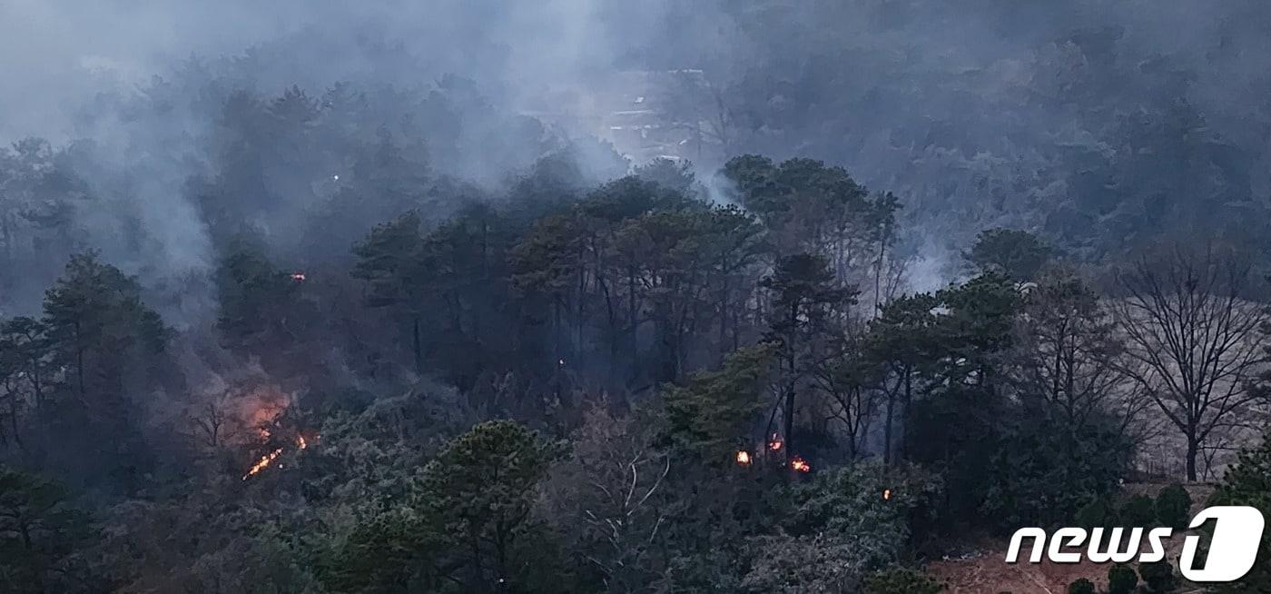 본문 이미지 - 11일 오후 광주 북구 동림동 운암산에서 불이 나 소방대원과 지자체 공무원 등 300여명이 진화에 나섰다.(광주시 제공)2023.3.11./뉴스1