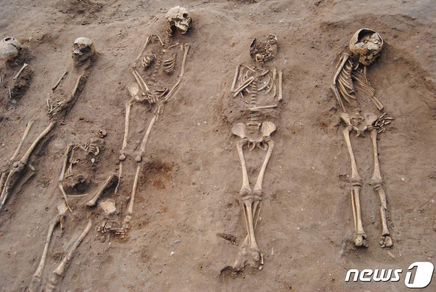 본문 이미지 - ⓒ AFP=뉴스1
