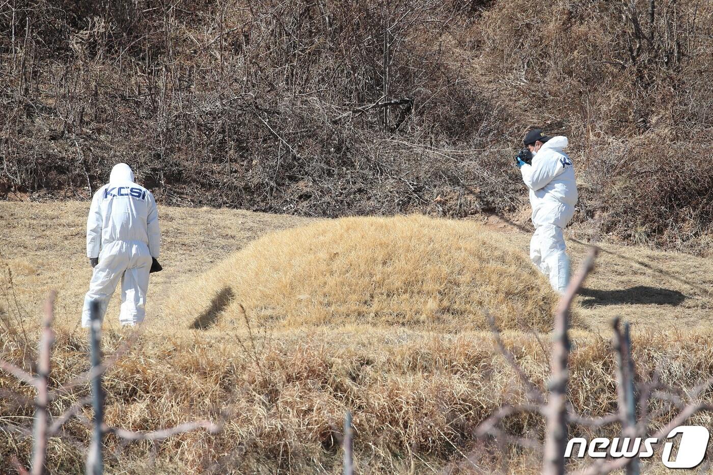 이재명 더불어민주당 대표의 양친 묘소 훼손 사건과 관련해 13일 오후 경북경찰청 전담수사팀 관계자들이 경북 봉화군 명호면 관창리 묘소 주변에서 증거 수집을 위한 수색 및 현장 감식을 하고 있다. 2023.3.13/뉴스1 ⓒ News1 공정식 기자