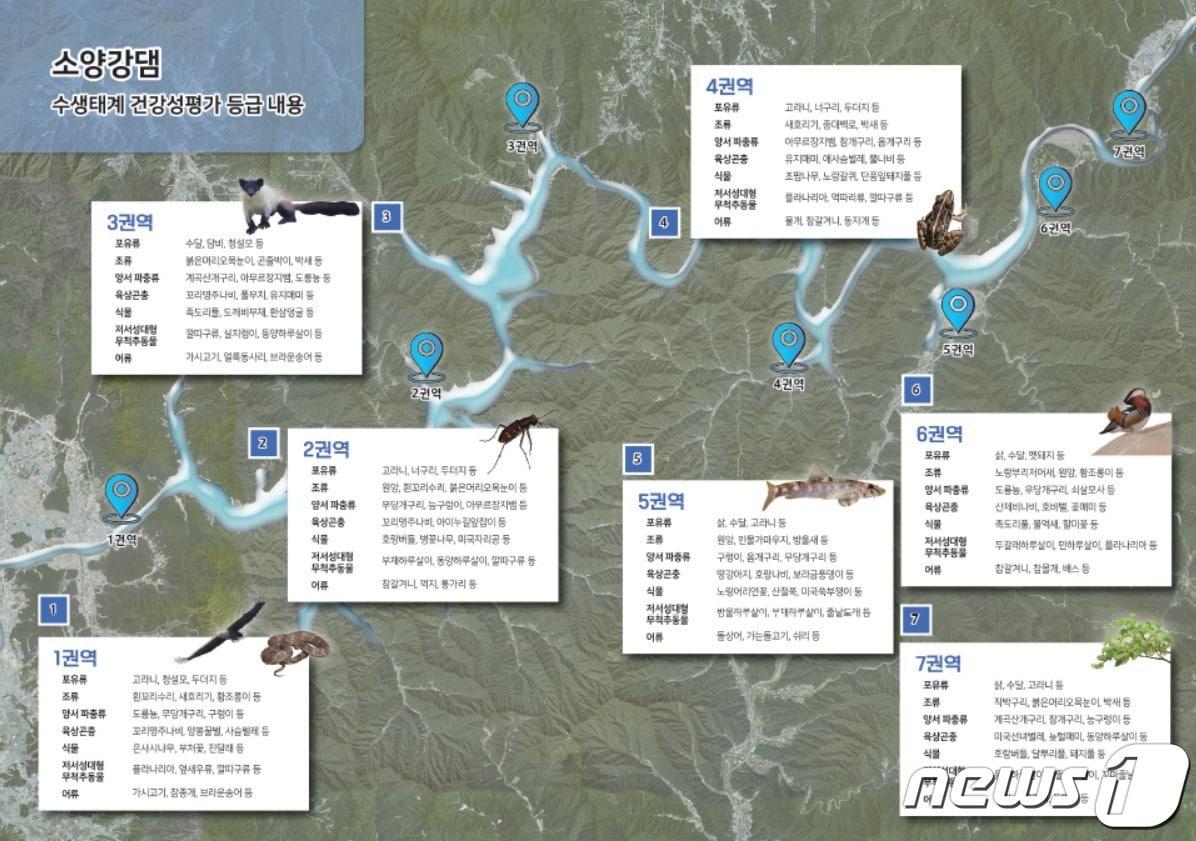 본문 이미지 - 소양강댐 생태지도 자료.&#40;한국수자원공사 한강유역관리처 제공&#41; 2023.3.14/뉴스1