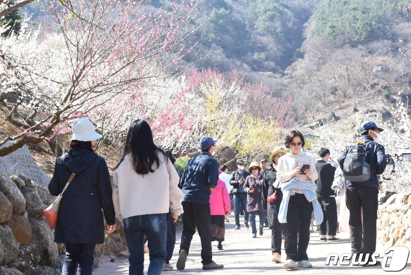 본문 이미지 - (사진은 기사 내용과 무관함) / 뉴스1 ⓒ News1