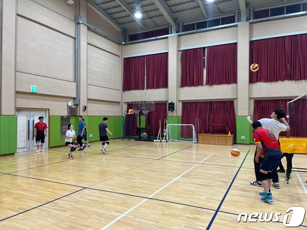 본문 이미지 - 학교 체육시설에서 배구 연습 장면 (자료사진) /뉴스1