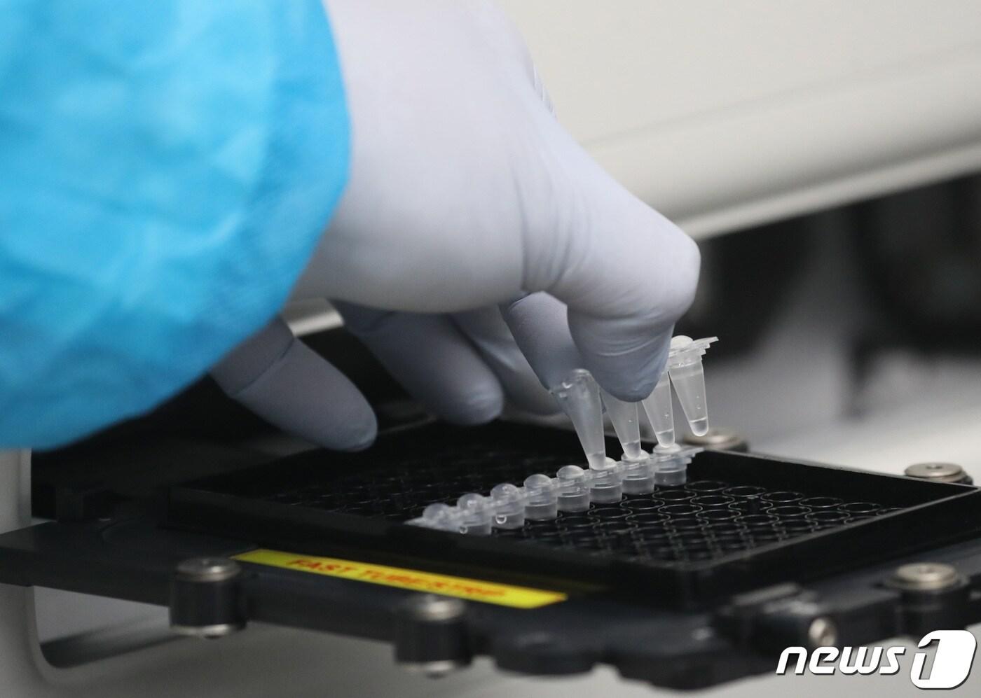 경기도 수원시 권선구 경기도보건환경연구원에서 감염병연구부 수인성질환팀 직원이 노로바이러스 유전자증폭&#40;PCR&#41; 검사를 하고 있다. 2023.3.15/뉴스1 ⓒ News1 