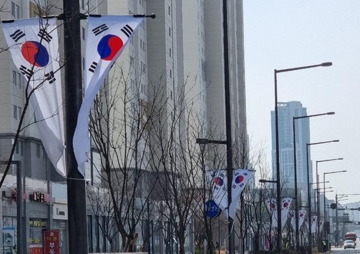 본문 이미지 - 세종시 도로변에 게양된 태극기. (세종시 제공) / 뉴스1