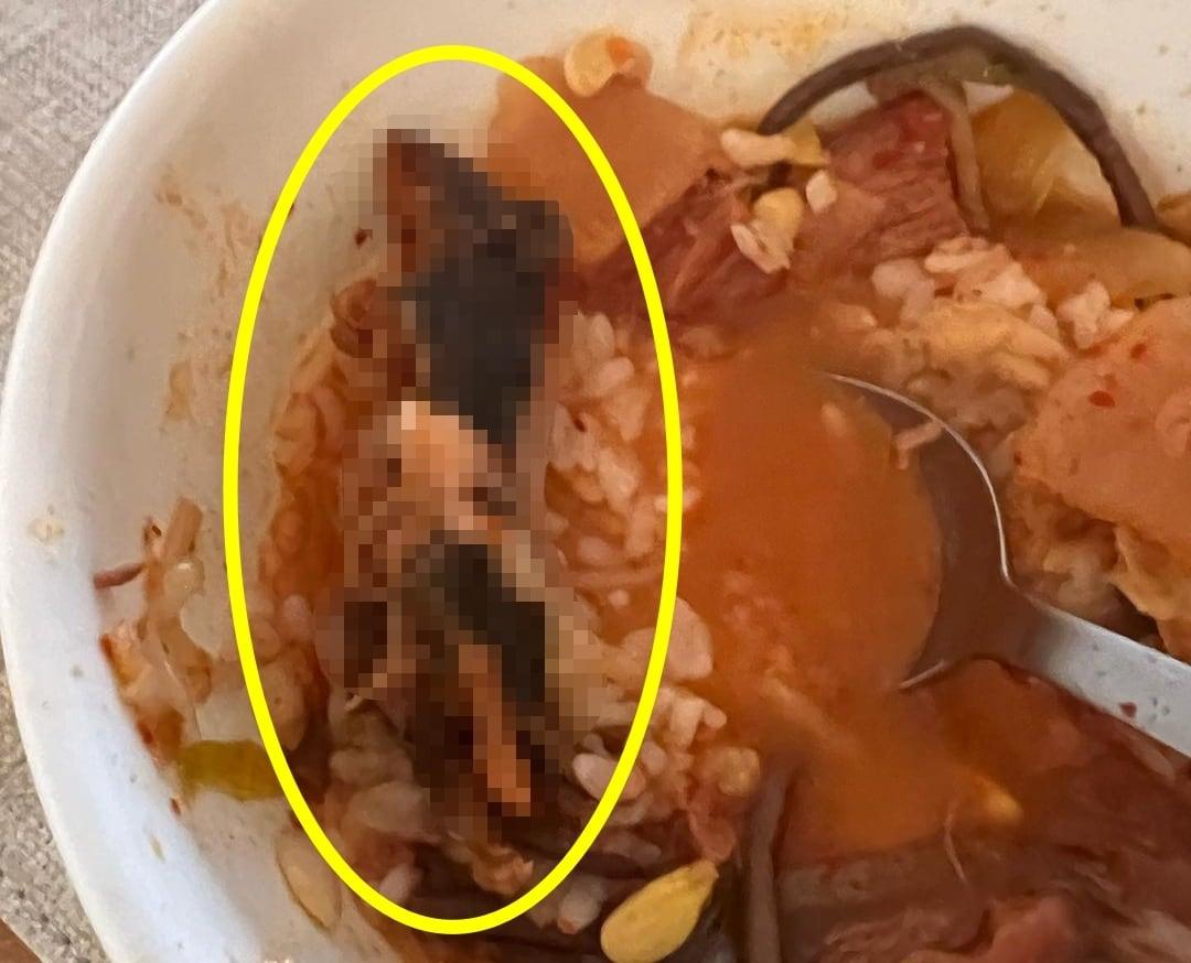 본문 이미지 - (A씨 인스타그램 갈무리)