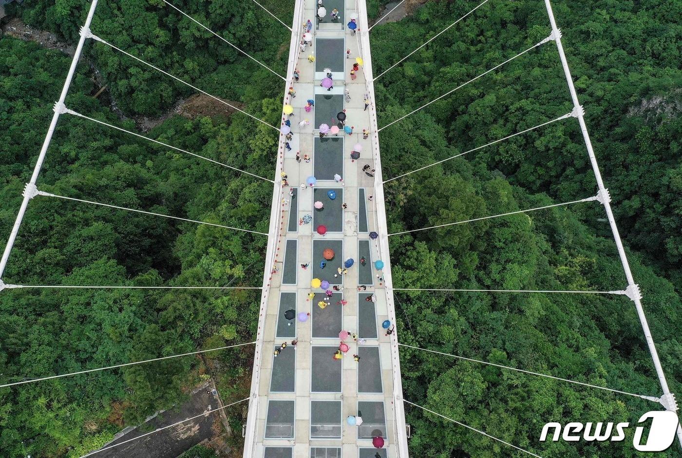 본문 이미지 - 중국 장자제 대협곡 유리다리ⓒ AFP=뉴스1