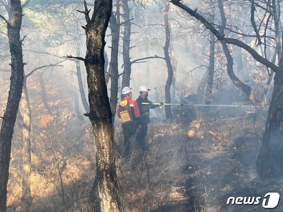 본문 이미지 - 21일 오전 11시27분쯤 전남 영광군 염산면 한 야산에서 화재가 발생, 산림당국이 진화 작업을 하고 있다.(산림청 제공)2023.3.21/뉴스1