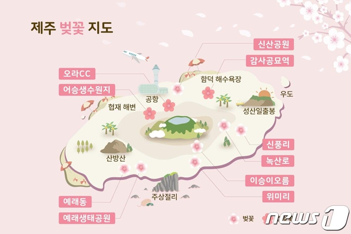본문 이미지 - 벚꽃지도(제주패스 제공)