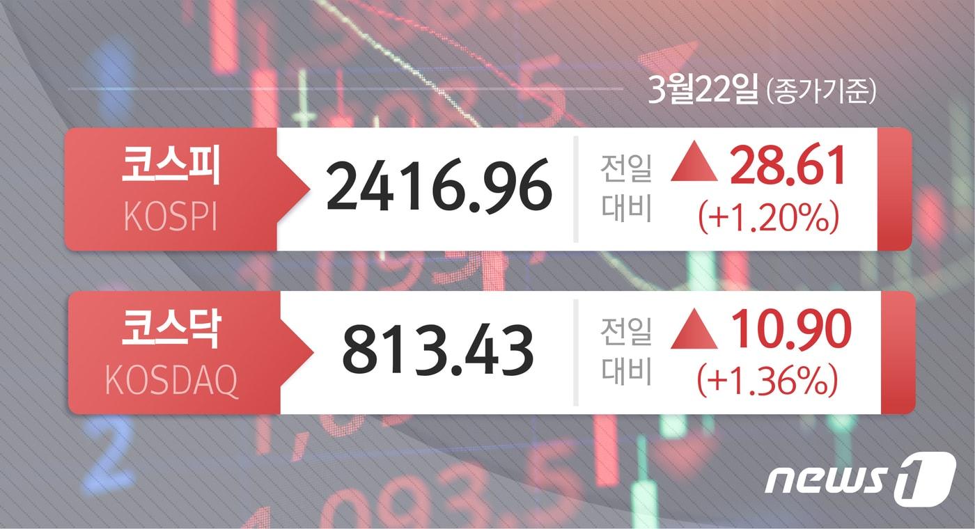 본문 이미지 - ⓒ News1 윤주희 디자이너