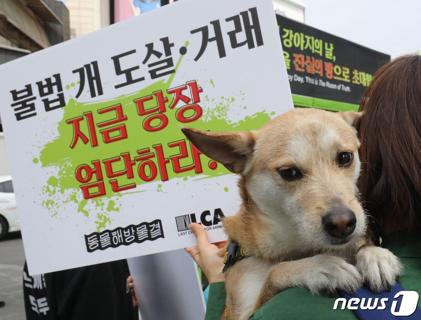 본문 이미지 - 23일 서울 서대문구 신촌 유플렉스 앞 스타광장에서 동물해방물결 회원들이 '국제 강아지의 날'을 맞아 개 식용 문제의 종식을 촉구하는 기자회견을 하고 있다.  2023.3.23/뉴스1 ⓒ News1 송원영 기자