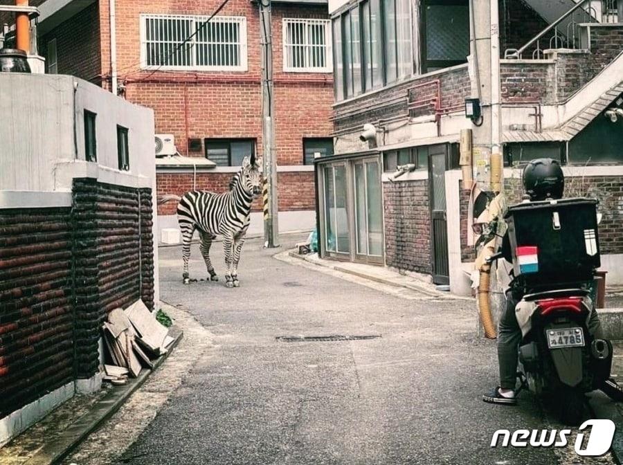 본문 이미지 - (온라인 커뮤니티 갈무리)