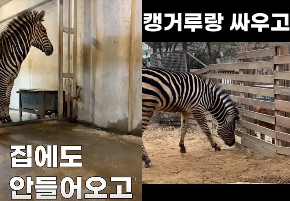 본문 이미지 - (서울시설공단 유튜브 갈무리)