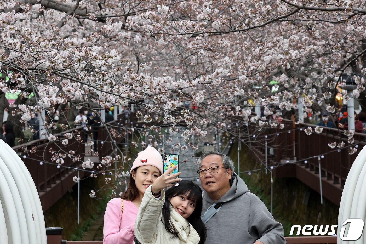 본문 이미지 - 진해군항제 개막을 하루 앞둔 24일 경남 창원시 진해구 여좌천 일대에서 관광객들이 벚꽃과 함께 추억을 남기고 있다. 창원시는 신종 코로나바이러스 감염증(코로나19) 여파로 4년 만에 개최되는 이번 군항제에 450만명이 방문할 것으로 예상했다. 2023.3.24/뉴스1 ⓒ News1 조태형 기자