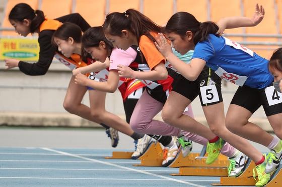 본문 이미지 - 자료사진/뉴스1