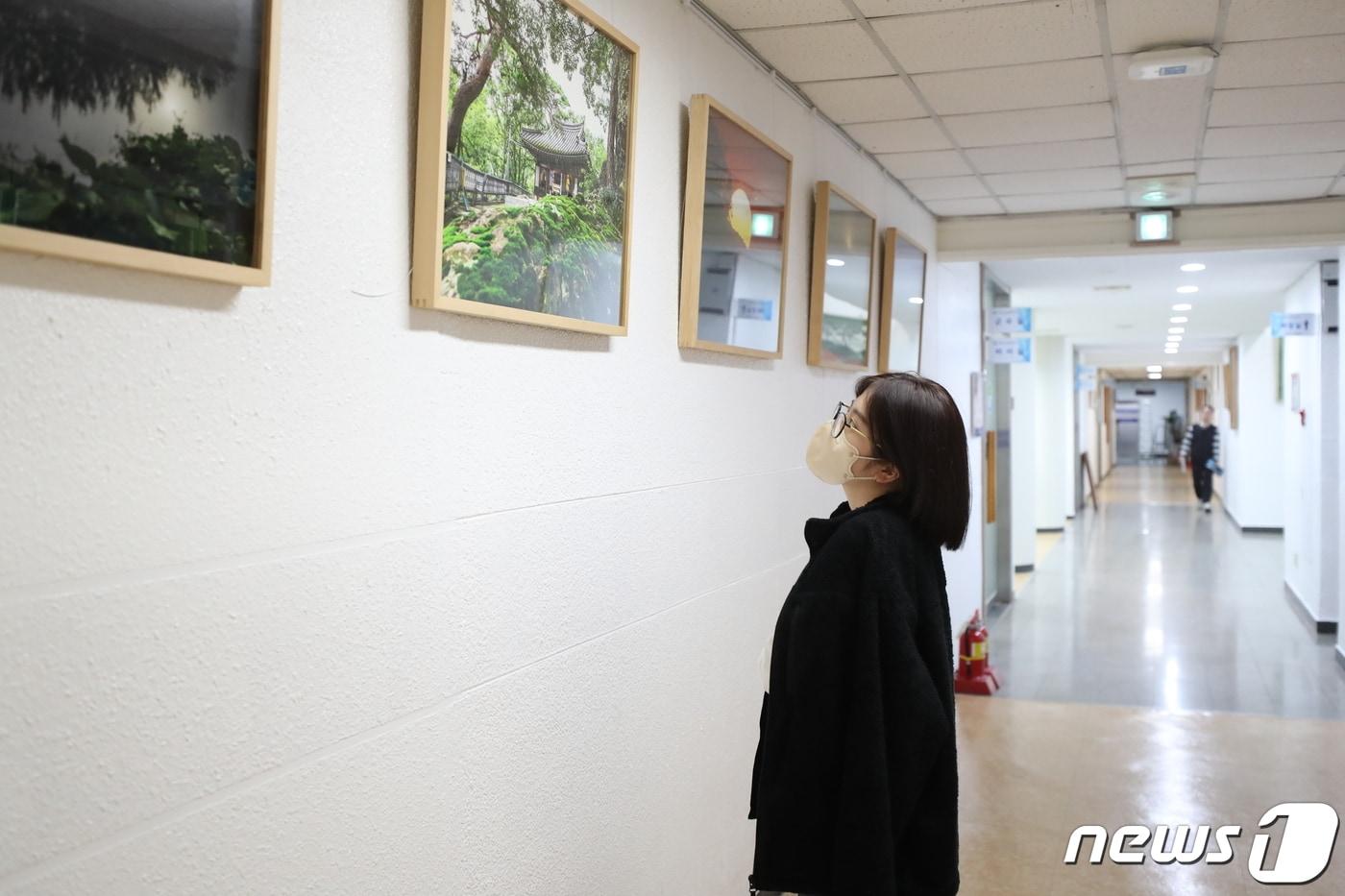 본문 이미지 - 전북 고창군이 군청 복도를 미술관 분위기로 새롭게 단장했다.(고창군 제공)2023.3.24/뉴스1 