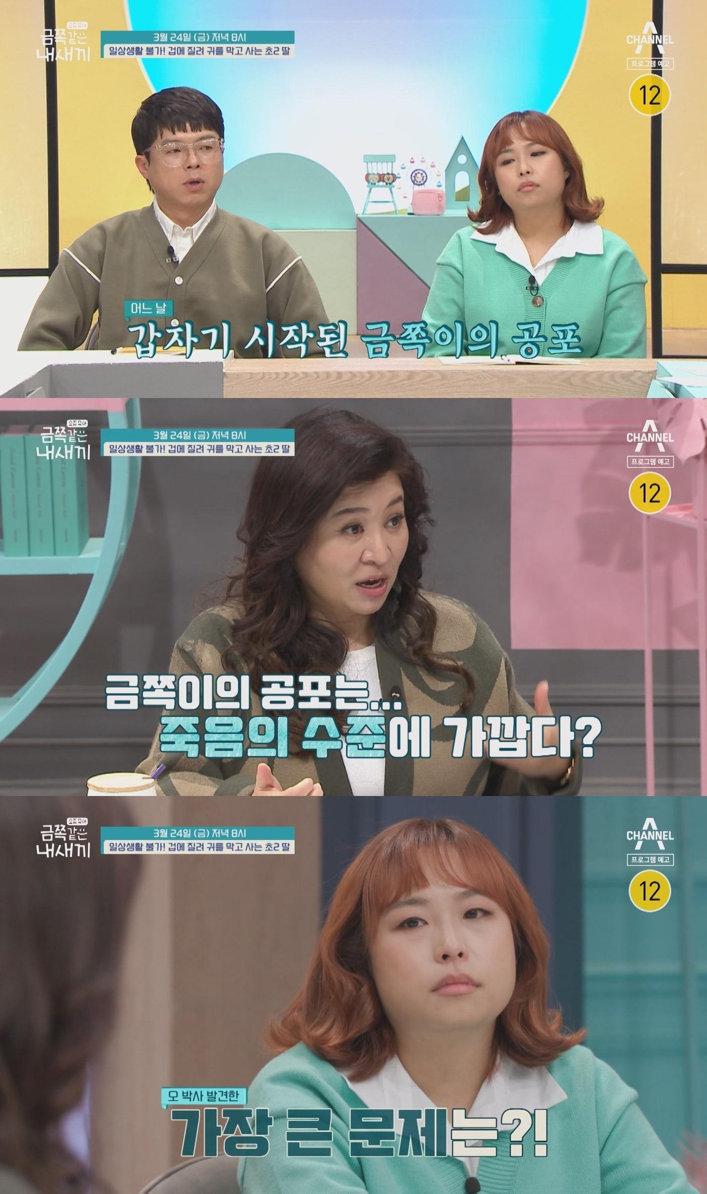 본문 이미지 - 채널A