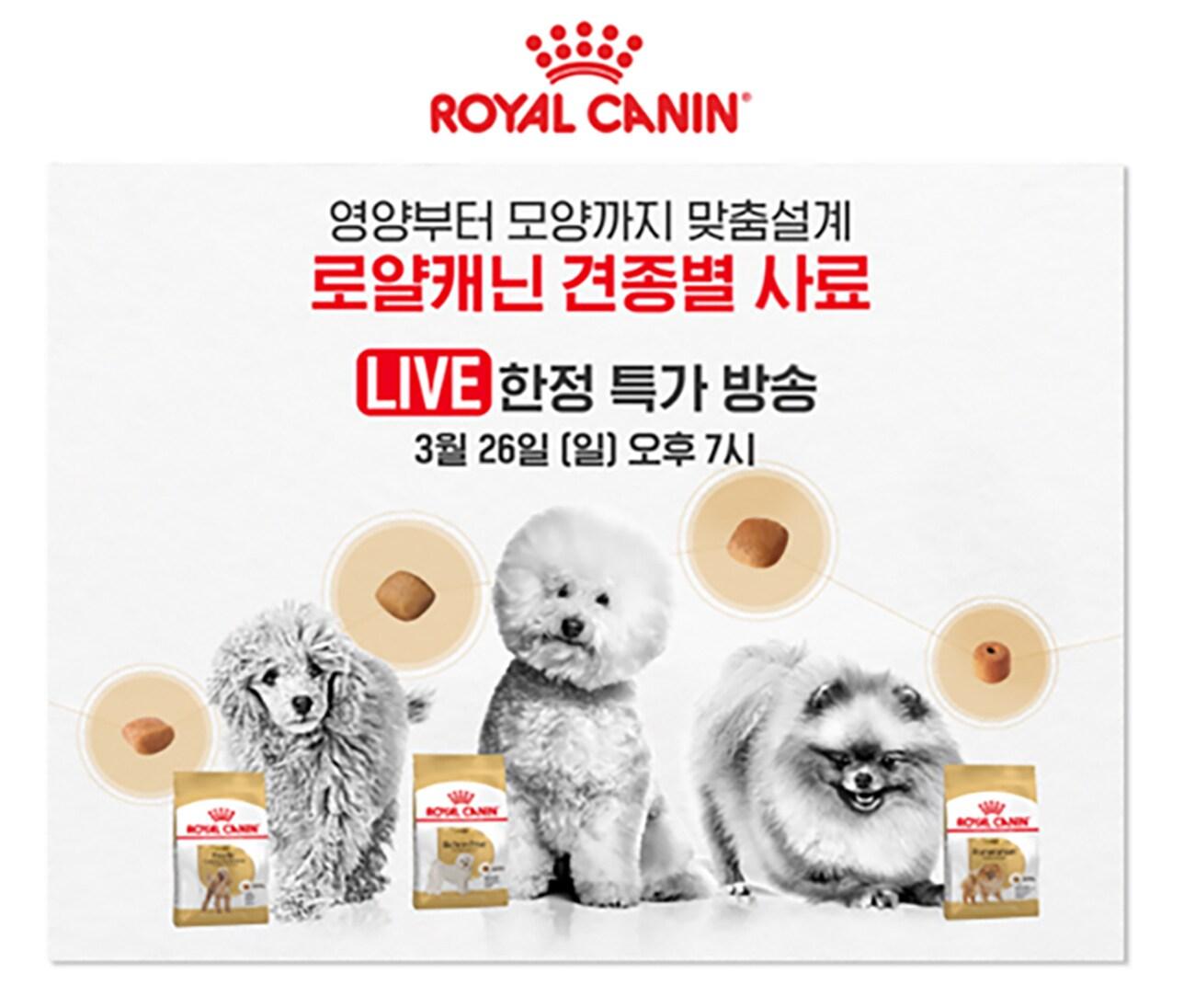 본문 이미지 - 로얄캐닌은 26일 네이버 브랜드데이를 기념해 '견종별 맞춤영양사료 특가전'을 진행한다.(로얄캐닌 제공) ⓒ 뉴스1