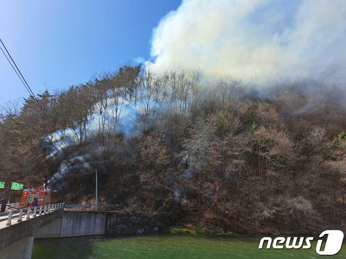 본문 이미지 - 강원 홍천군 영귀미면 좌운리 산불 현장.(뉴스1 DB))