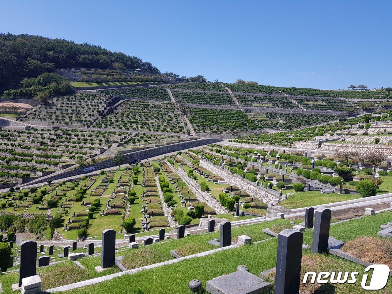 본문 이미지 - 플라스틱 조화가 퇴출돼 깔끔하게 정리된 모습의 김해시 한 공원묘지.(김해시 제공)