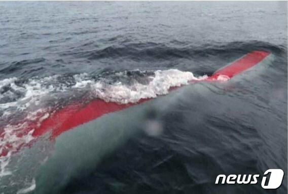 본문 이미지 - &#40;평양 노동신문=뉴스1&#41; = 북한의 &#39;해일&#39;.[국내에서만 사용가능. 재배포 금지. DB 금지. For Use Only in the Republic of Korea. Redistribution Prohibited] rodongphoto@news1.kr]