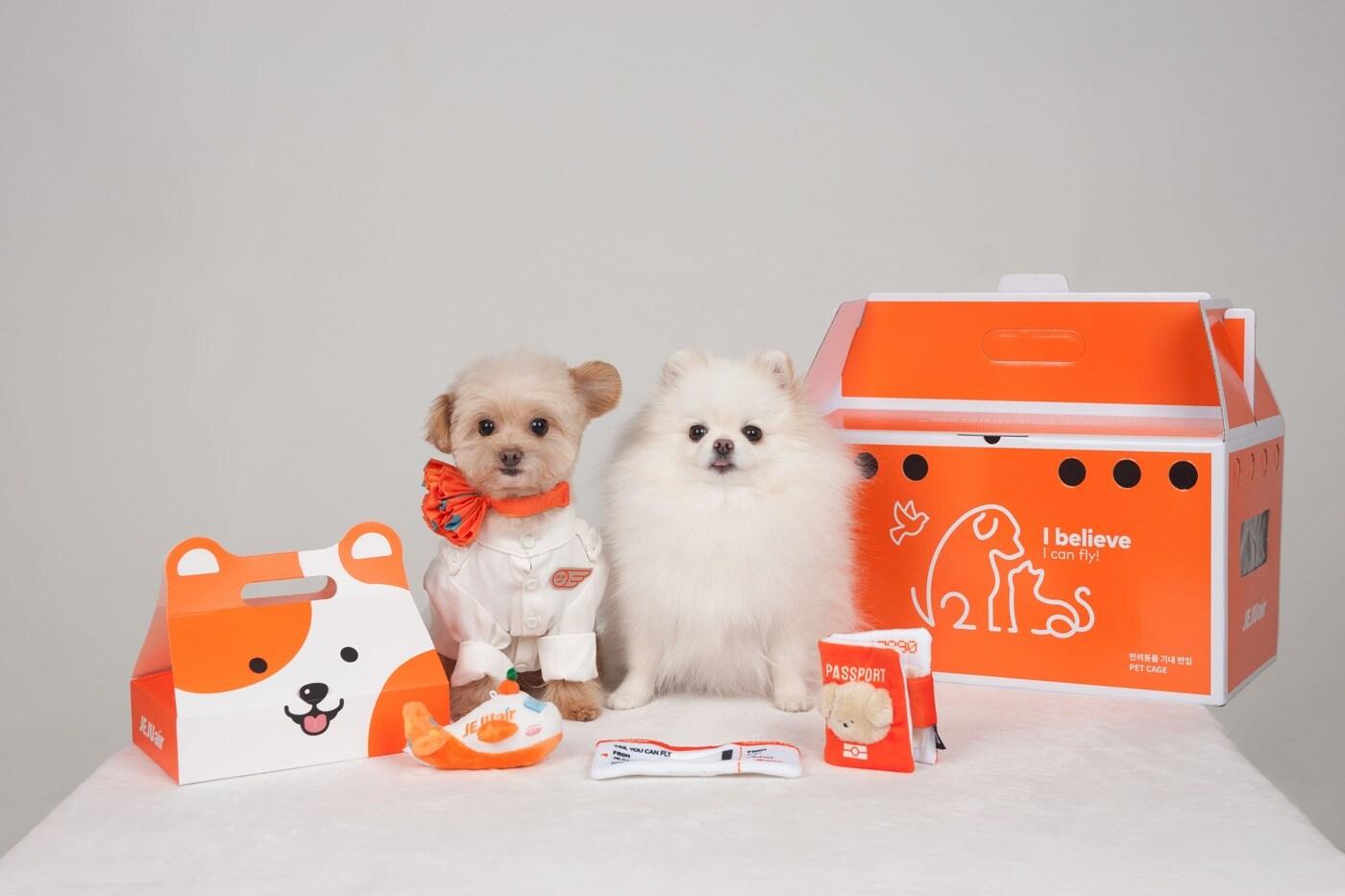 애견여행 도시락(제주항공 제공)