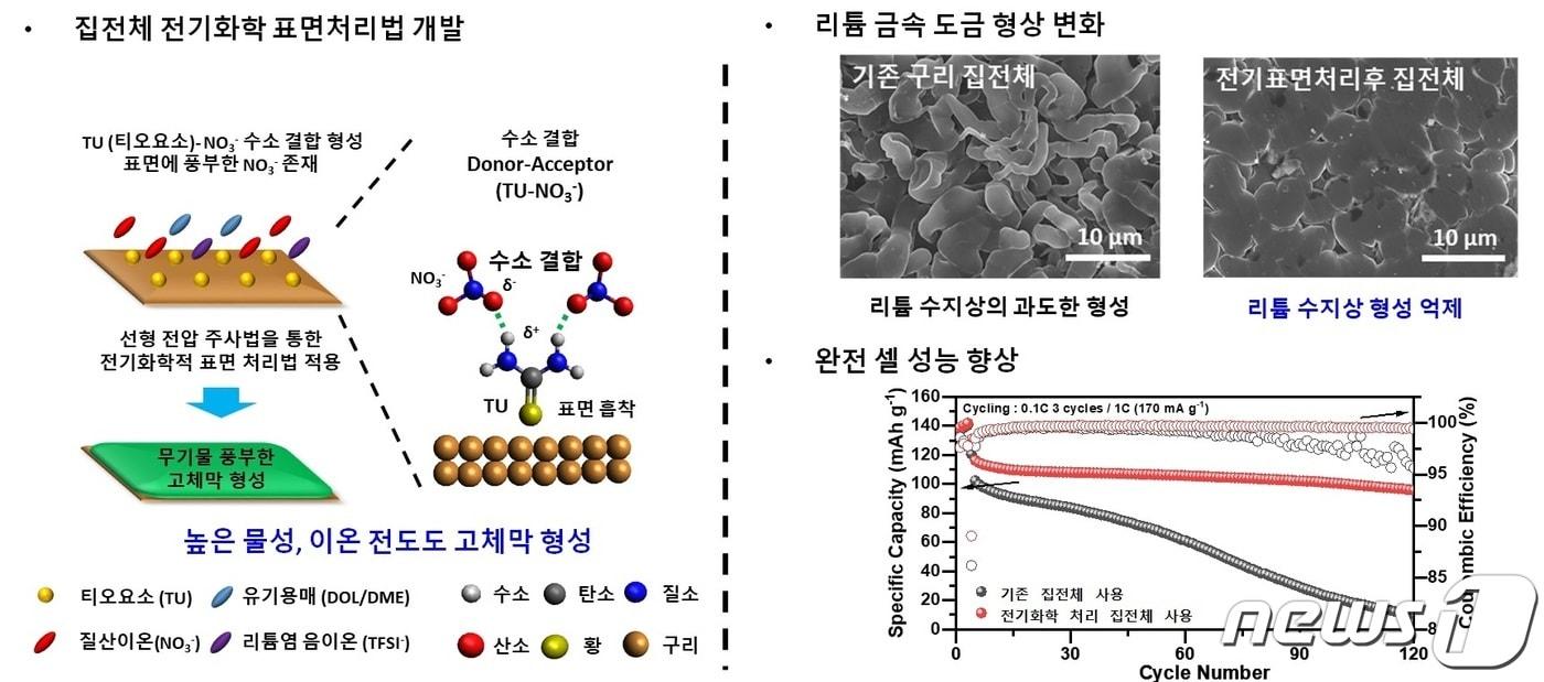 본문 이미지 - 집전체의 전기표면처리 유무에 따른 리튬 금속 도금 형상 및 완전 셀 성능 비교 모식도(지스트 제공)/뉴스1
