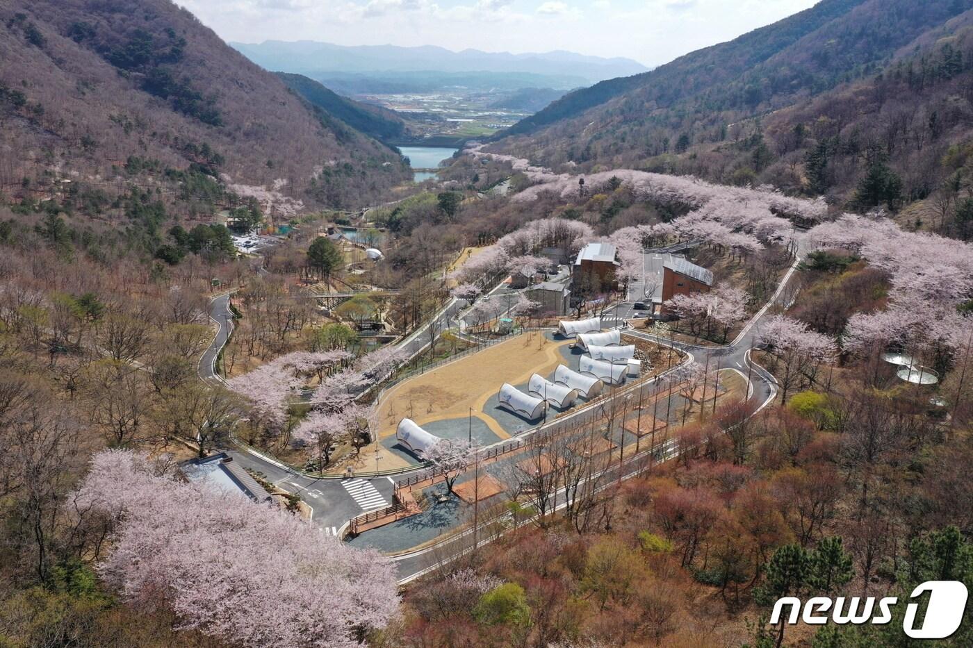 본문 이미지 - 월아산 숲속의 진주 전경(진주시 제공).
