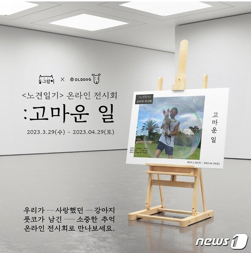 본문 이미지 - '노견일기' 온라인 전시회가 오는 4월 29일까지 진행된다.(동그람이 제공) ⓒ 뉴스1