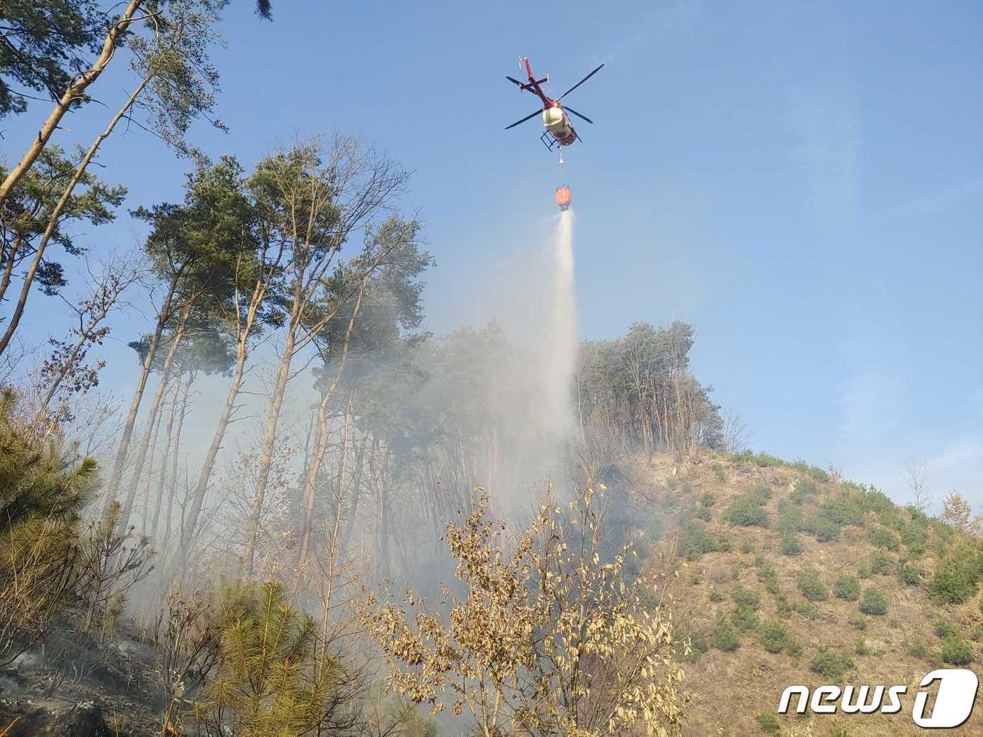 본문 이미지 - 강원 횡성군 청일면 신대리 산불 현장.(뉴스1 DB)
