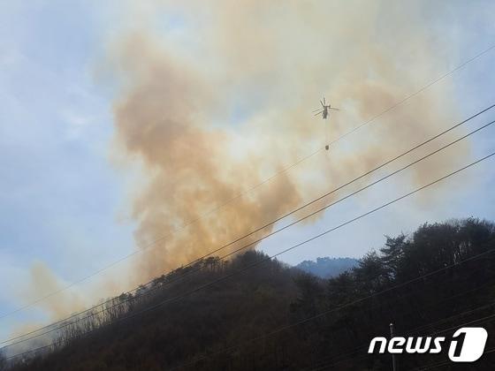 본문 이미지 - 제천 봉황산 산불. / 뉴스1 