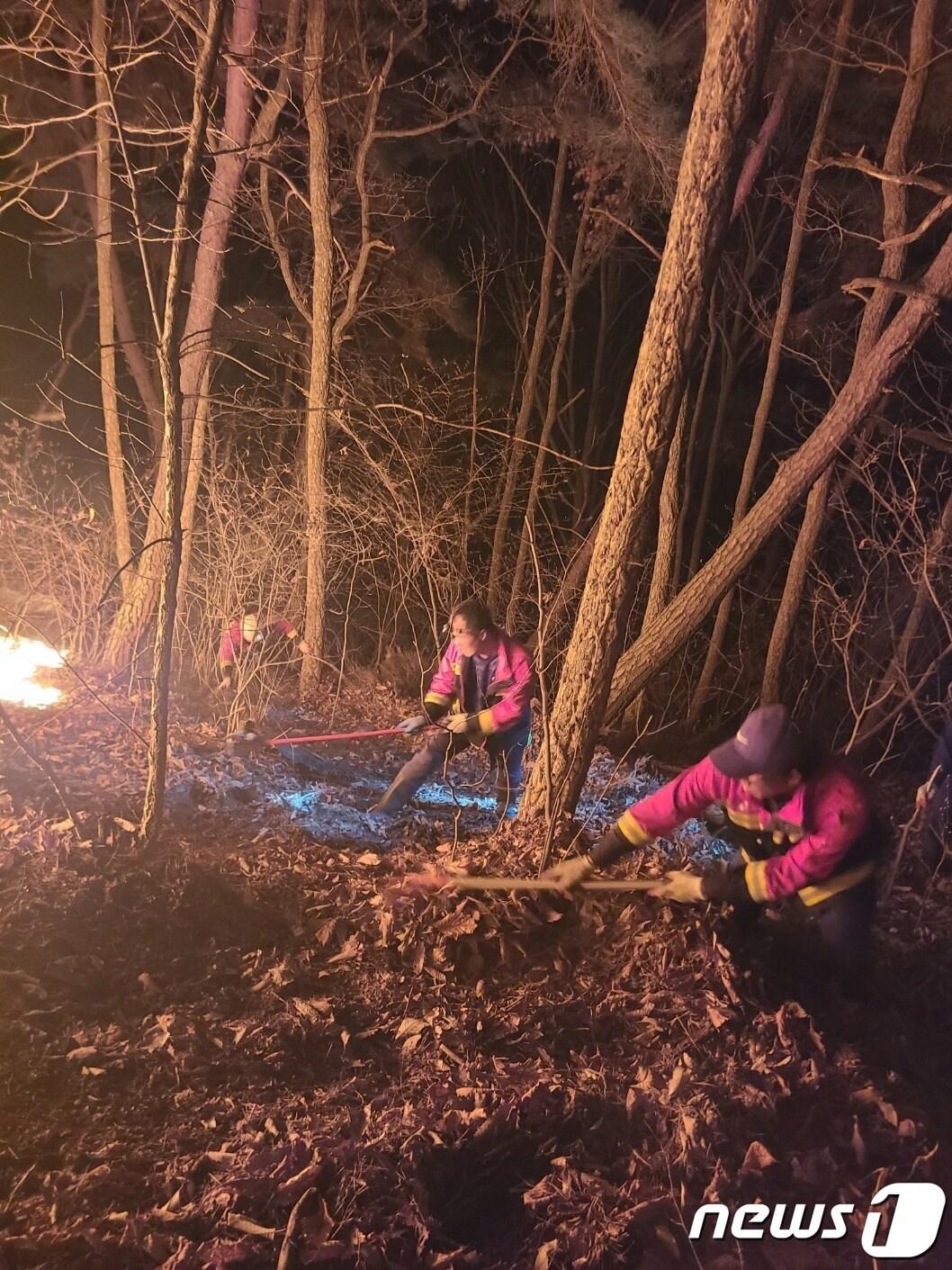 본문 이미지 - 제천 봉황산 산불. / 뉴스1 