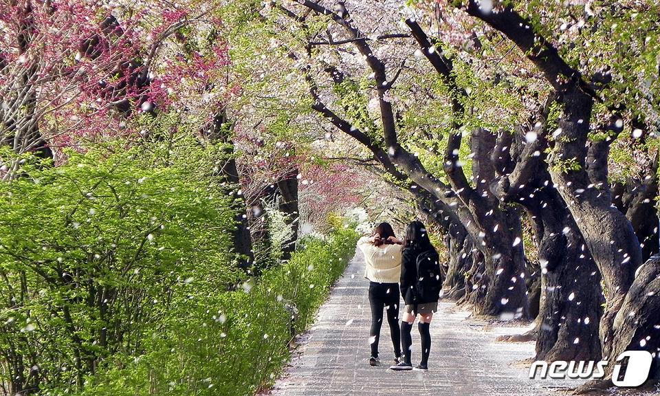본문 이미지 -  서울시 여의도 여의동서로. (서울시 제공) 