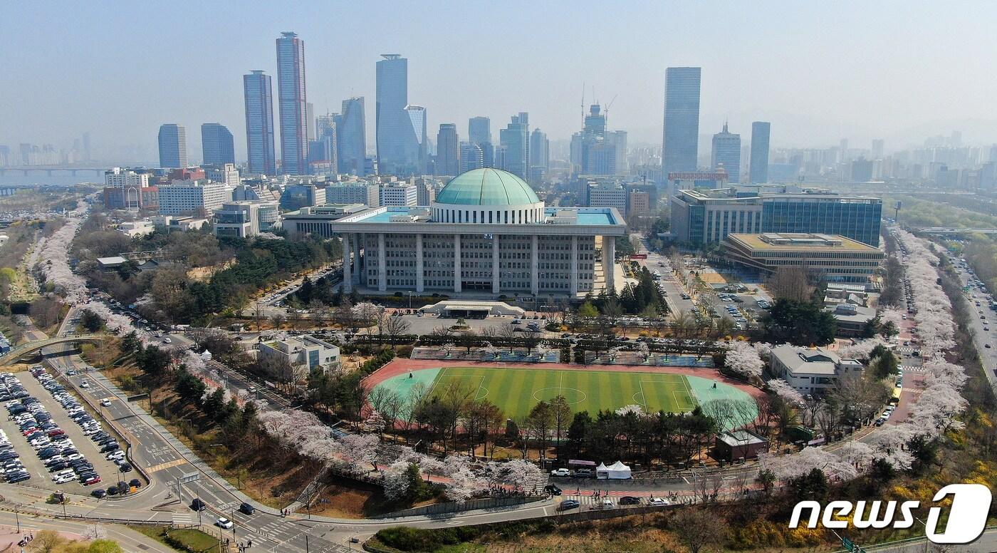 본문 이미지 - 서울 여의도 국회 뒤편 여의서로에 벚꽃이 활짝피어 있다./뉴스1 ⓒ News1 김진환 기자