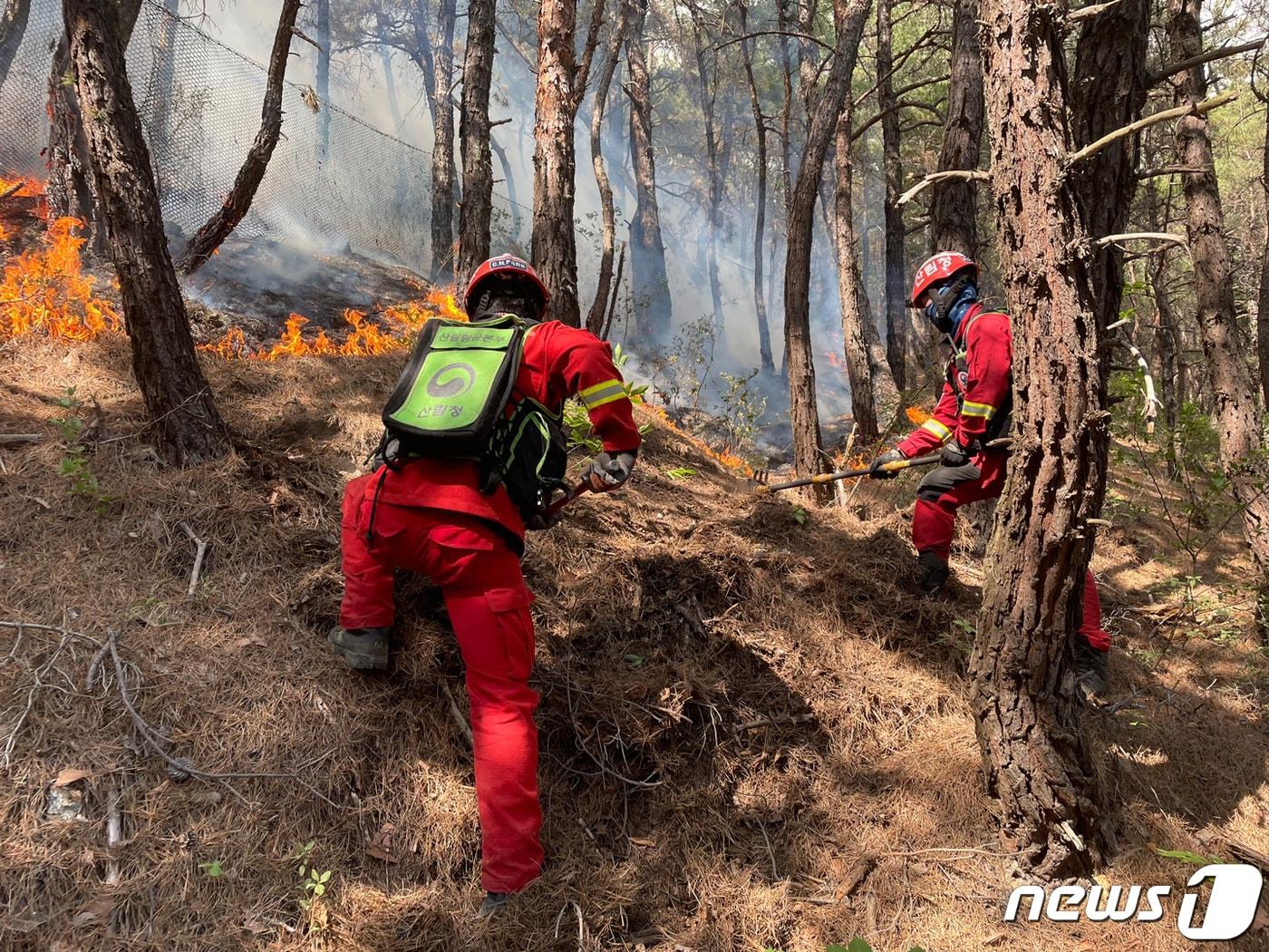 본문 이미지 - 산림청 공중진화대원들이 지난 6일 오후 7시6분쯤 울진군 금강송면 쌍전리 진조산&#40;해발 912m&#41; 아래에서 발생한 화재를 진압하고 있다. &#40;산림청 제공&#41; 
