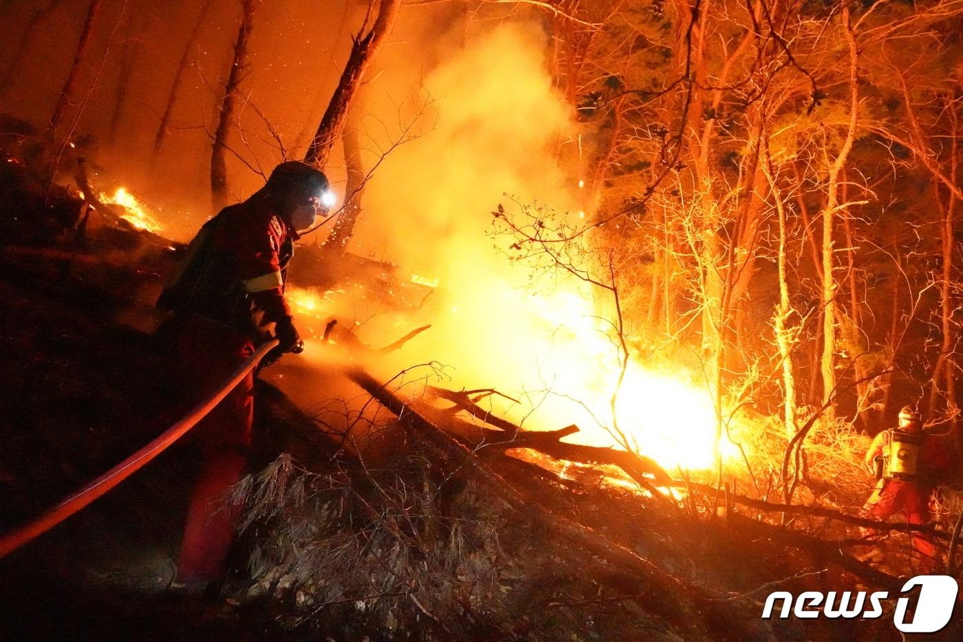 본문 이미지 - 산림청 공중진화대원들이 9일 경남 합천군 용주면에서 발생한 산불을 잡기 위해 밤새 진화 작업을 하고 있다. (산림청 제공) 2023.3.9/뉴스1