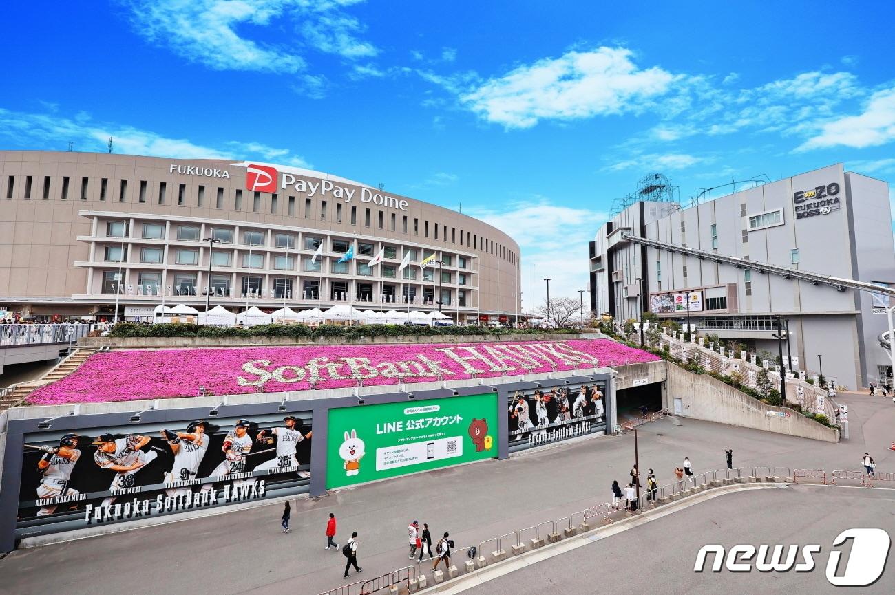 본문 이미지 - 일본 인기 프로야구팀 후쿠오카 소프트뱅크 호크스 홈구장(클룩 제공)