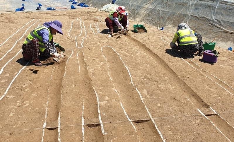 본문 이미지 - 세종시 조치원·연기비행장 통합 이전 사업부지 문화재 정밀발굴조사 모습. (세종시 제공) / 뉴스1