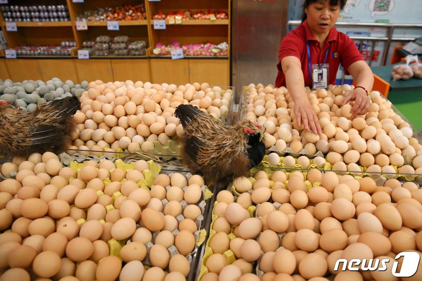 중국 동부 장쑤성 남동부 도시 난퉁에 위치한 식료품 가게 ⓒ 로이터=뉴스1