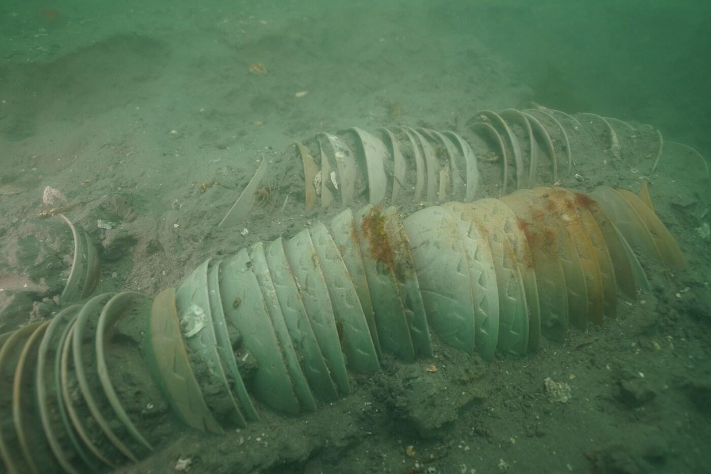 본문 이미지 - 2021년 발굴조사 당시 발견된 청자 다발. (국립해양문화재연구소 제공) 