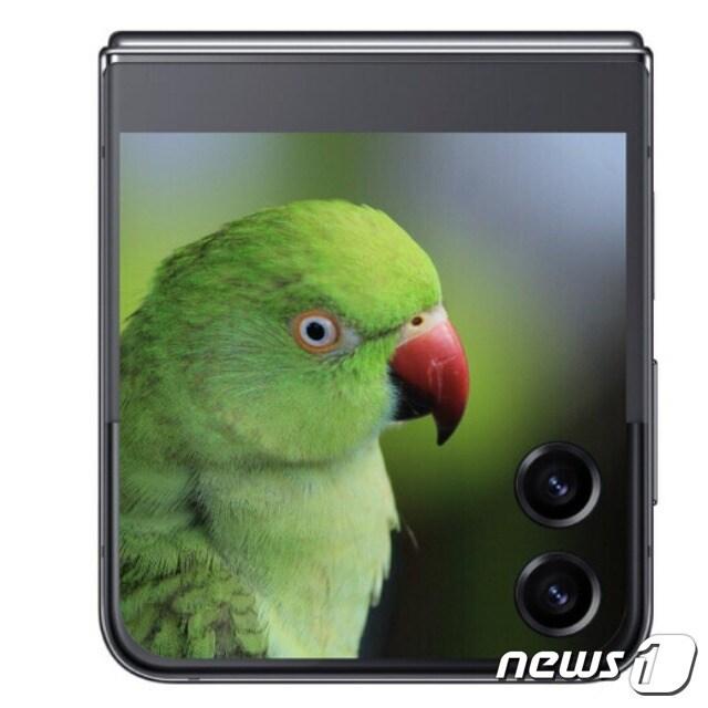 본문 이미지 -  삼성전자 갤럭시Z플립5 예상 이미지 &#40;IT 팁스터 유니버스 트위터 갈무리&#41;